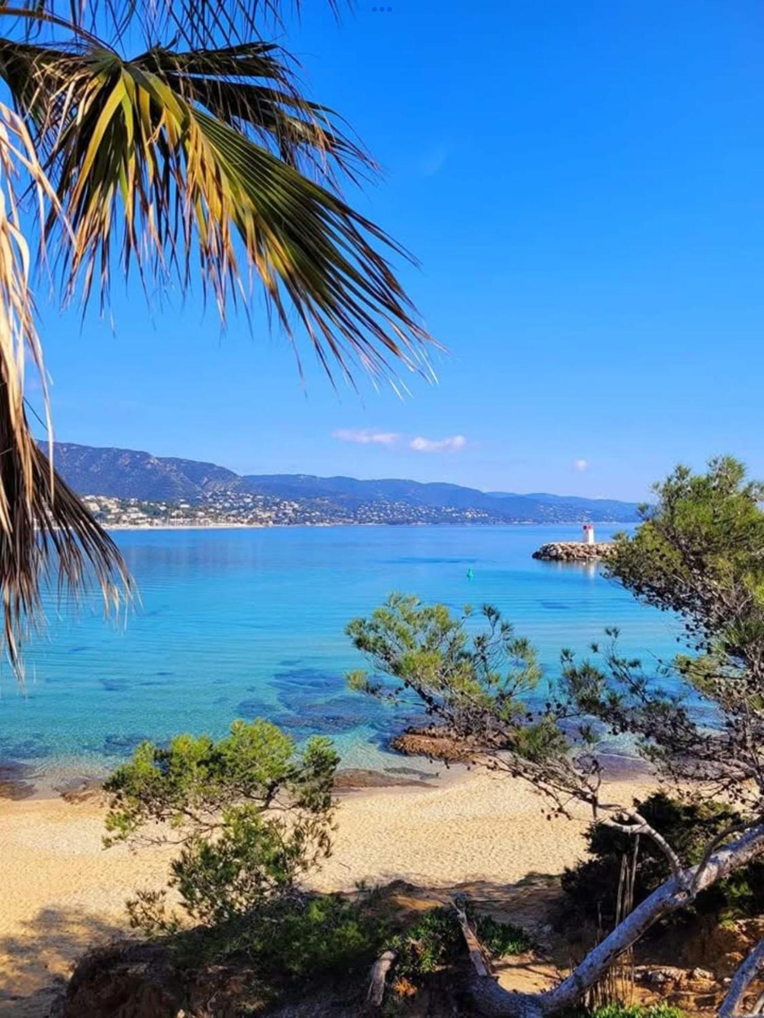 Appartement Pieds Dans L'Eau Vue Mer Bormes Les Mimosas Экстерьер фото